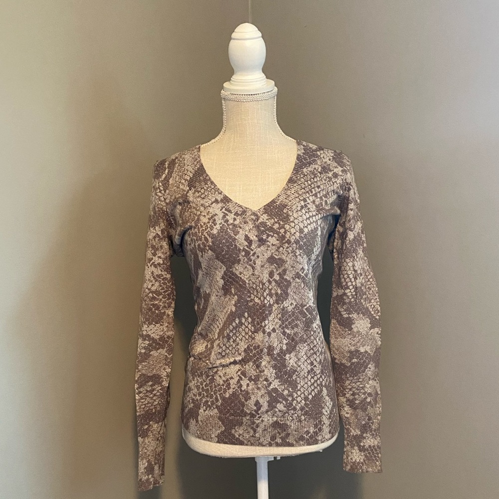 Express V-neck Sweater